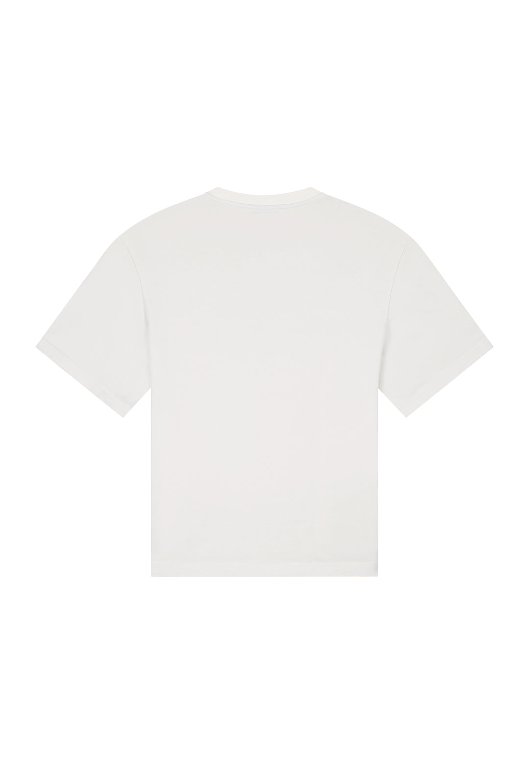 NLT Graphic Tee - Washed White