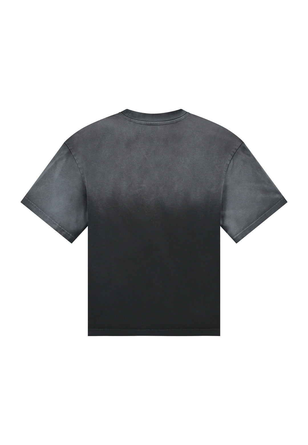 NLT Graphic Tee - Washed Black